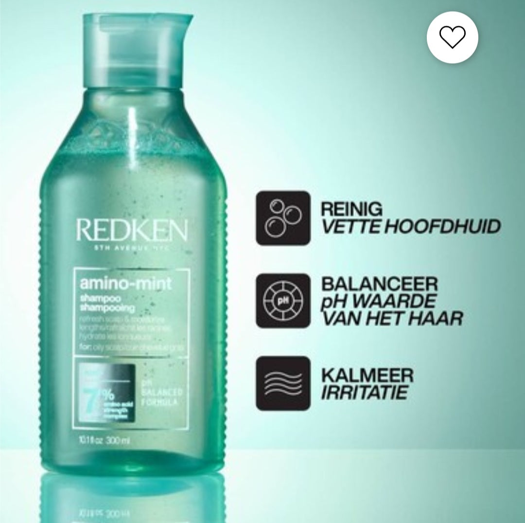 Redken Amino Mint Shampoo 300ml